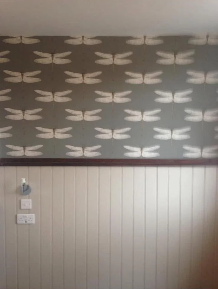 Dragonfly feature wallpaper with painted tongue-and-groove panelling